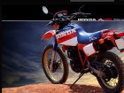 Honda XL 600R